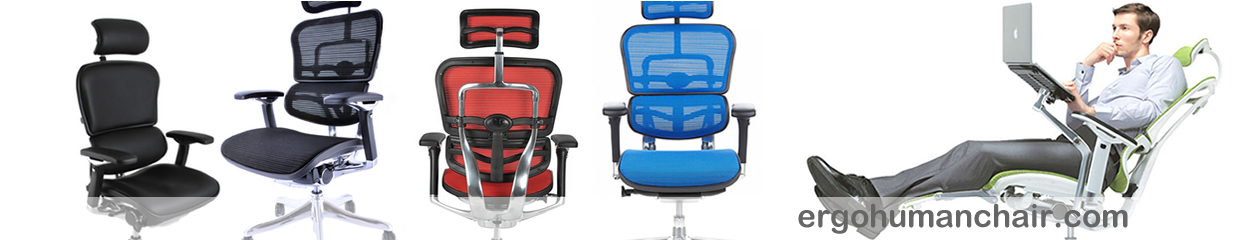 Ergohuman Office Chairs